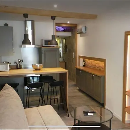 Apartment Beau Avec Mezzanine *